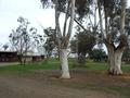 Excellent Horse Facility - 131 acres 2 titles or 53 acres with Home. Picture