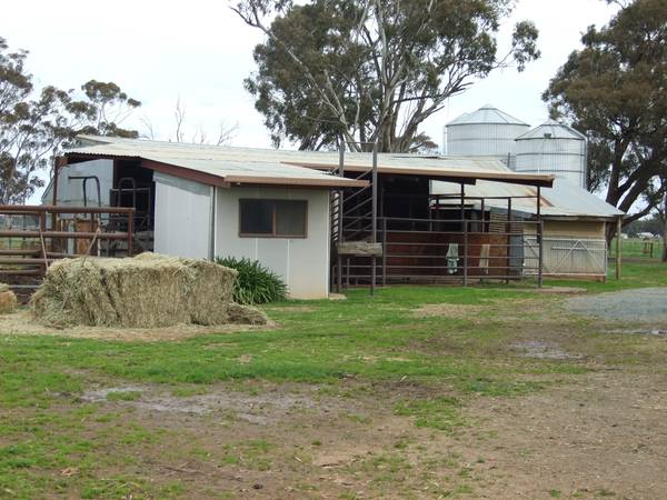 Excellent Horse Facility - 131 acres 2 titles or 53 acres with Home. Picture 3