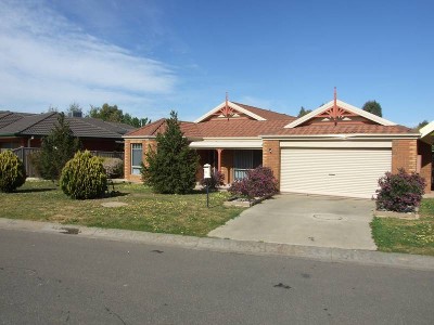 Size & Style Picture