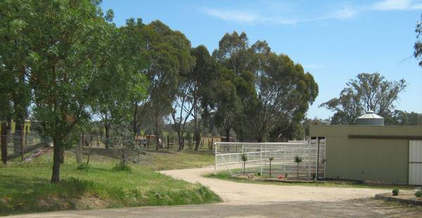 "Victorian Training Centre" 20 acres (approx) - 100 metres Seymour Racecourse Picture 2