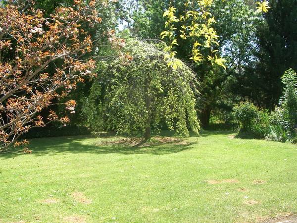 ONLY STONES THROW TO LAKE Picture