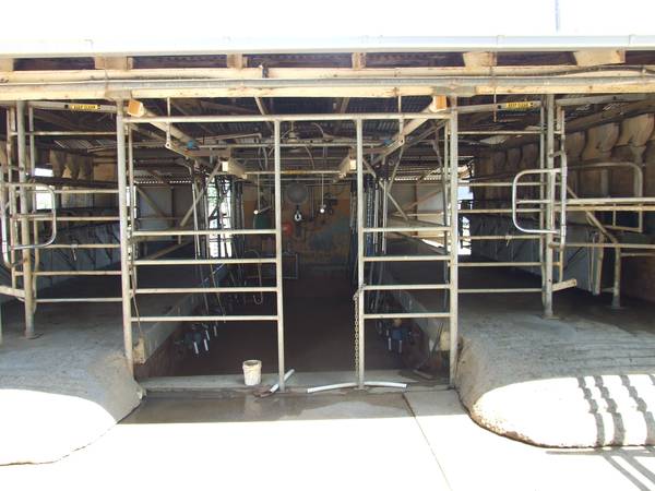 Dairy Farm With Water & Bore Water Picture 3