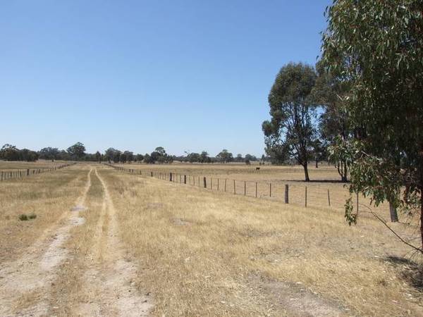 Outpaddock Or Lifestyle Picture 2