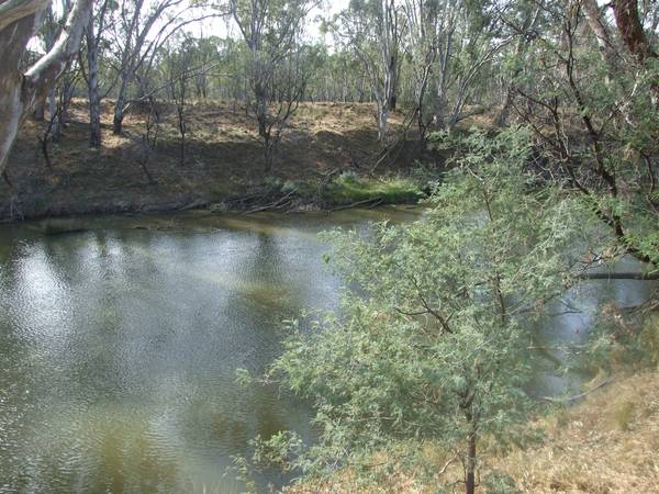 Enjoy The Quiet Life Picture 3