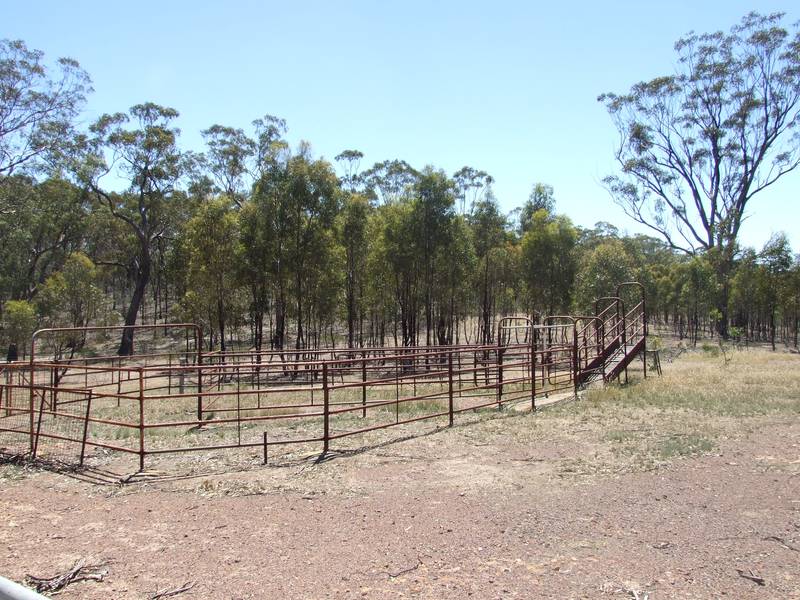 103 Acre Bush Block Picture 1