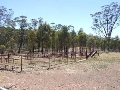 103 Acre Bush Block Picture