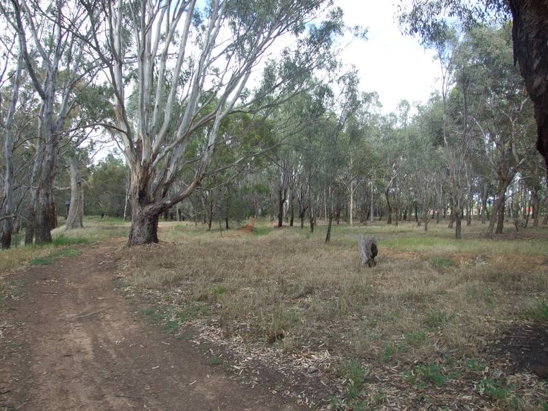 Unique Building Block - Goulburn River Picture 2