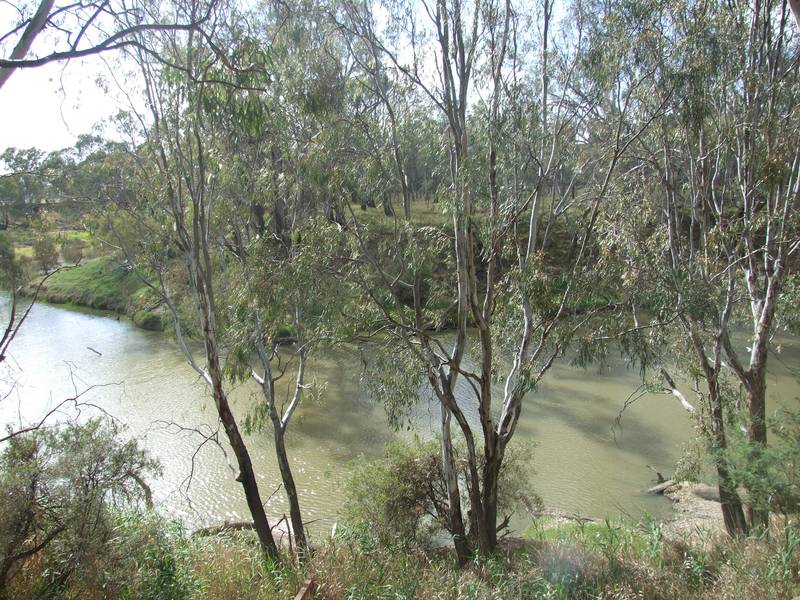 Unique Building Block - Goulburn River Picture 1