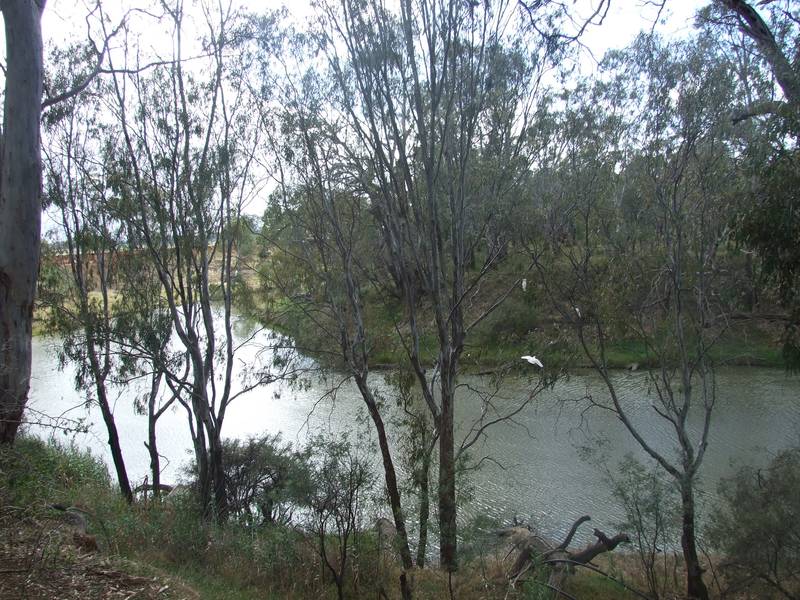 Unique Building Block - Goulburn River Picture 3