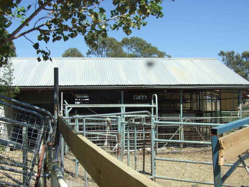 110 Acres With Building Permit Picture 2