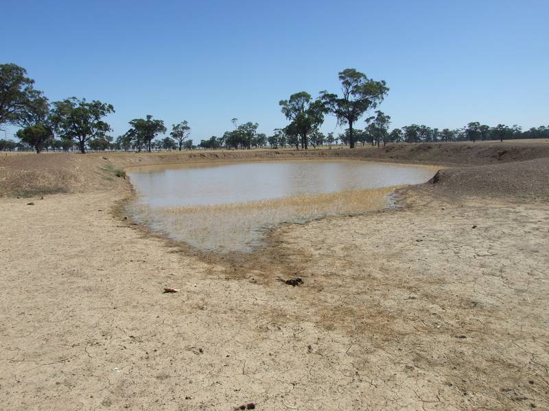 236 Acres With Basin Views Picture 2