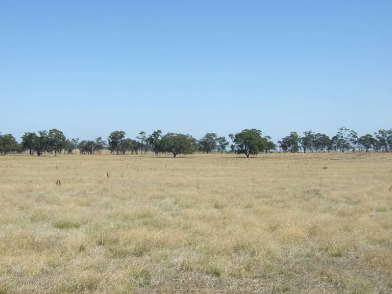 236 Acres With Basin Views Picture 1