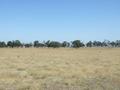 236 Acres With Basin Views Picture