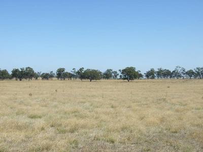 236 Acres With Basin Views Picture