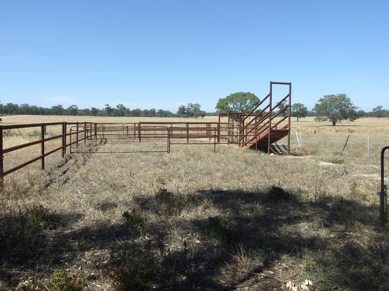 236 Acres With Basin Views Picture 3