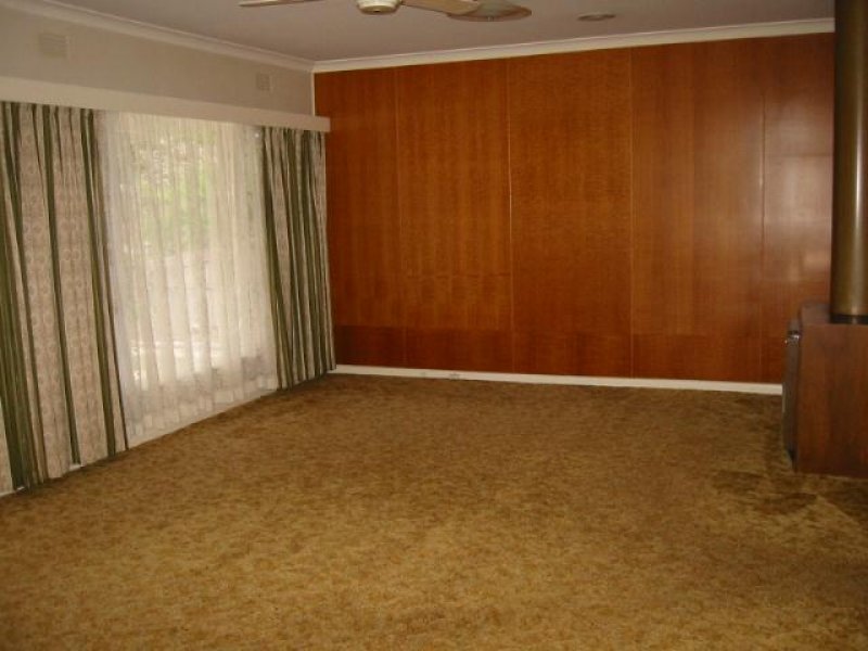 EVERYTHING YOU NEED!!! Picture