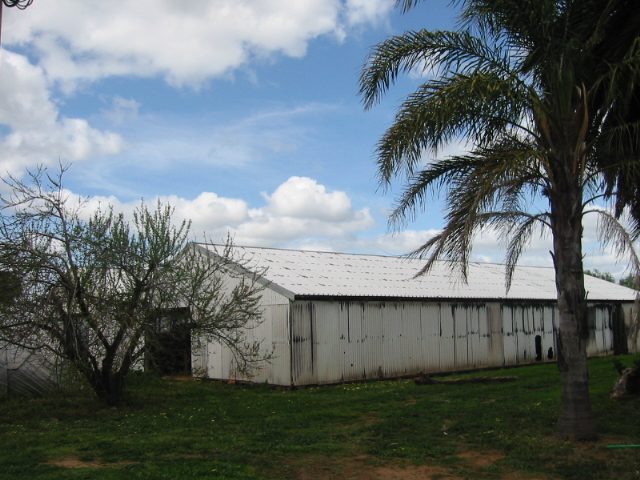 Prime Lifestyle Opportunity - 10 Hectares Approx Picture 2