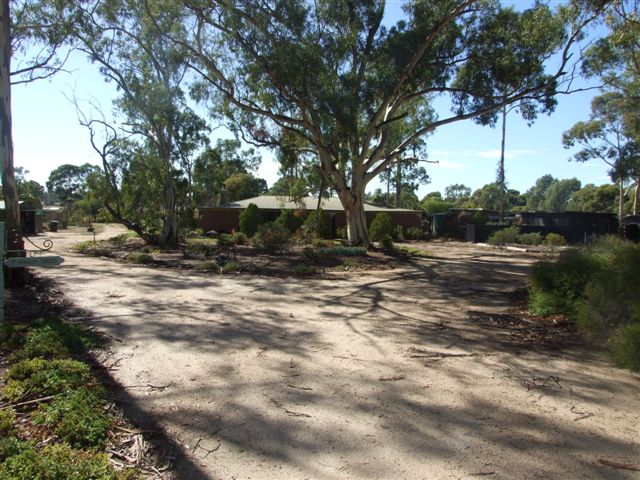 Lifestyle Opportunity Picture 1