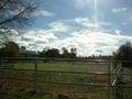 HORSES PARADISE ON 80 ACRES Picture