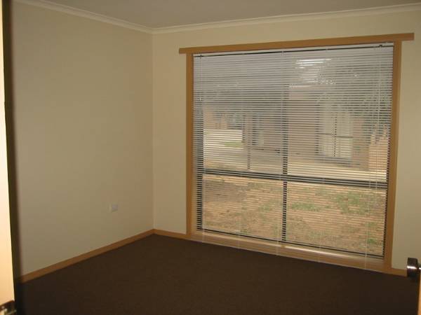 EVERYTHING YOU NEED!!! Picture 3