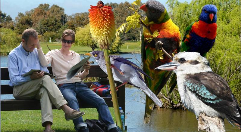 IDA PLACE TOWNHOUSES - READY TO MOVE IN Picture 1