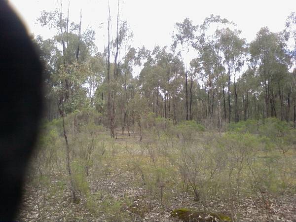 Nagambie Bush Block Picture 1