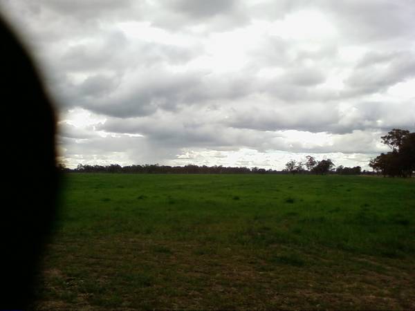 Lifestyle, Grazing Or Cropping Picture 1