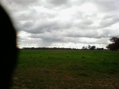 Lifestyle, Grazing Or Cropping Picture