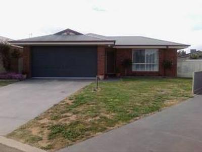 No Need to Lift a Finger Picture