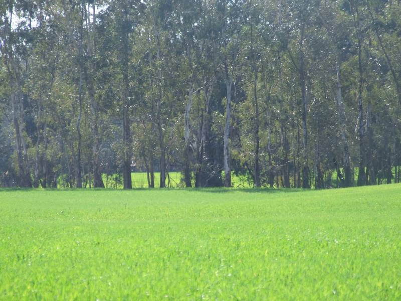 SPECTACULAR RIVERFRONT - 585 ACRES - EXPRESSION OF INTEREST Picture 2