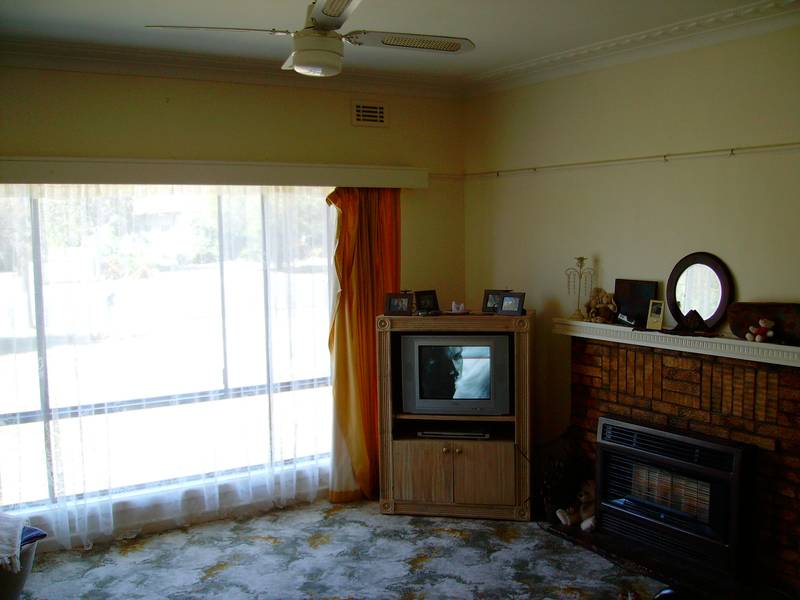 A Great Starter Picture 3