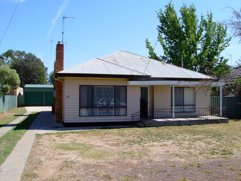 A Great Starter Picture 1