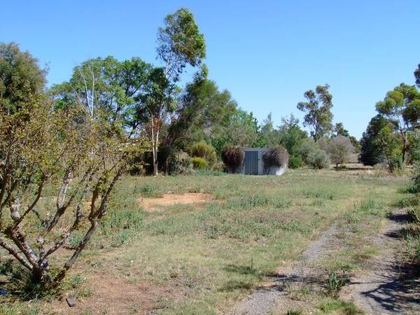 1600m2 Home Or Unit Site Picture 1