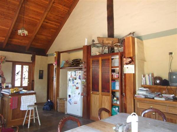 ALL NATURAL GEM Picture 2