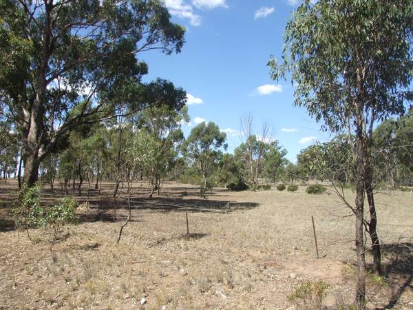 Excellent Bush Block Picture 1