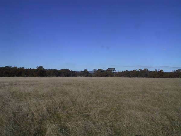 20 Acres With Basin Views Picture 2