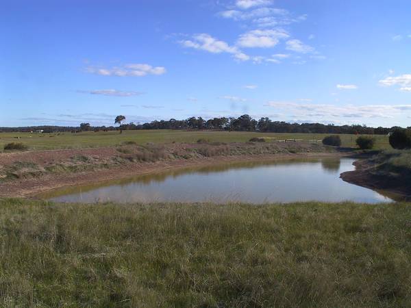 20 Acres With Basin Views Picture 3