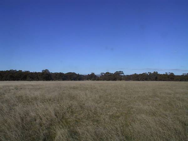 20 Acres With Basin Views Picture 1