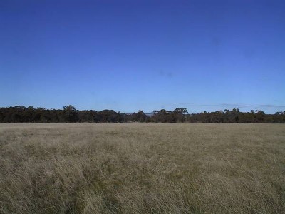 20 Acres With Basin Views Picture