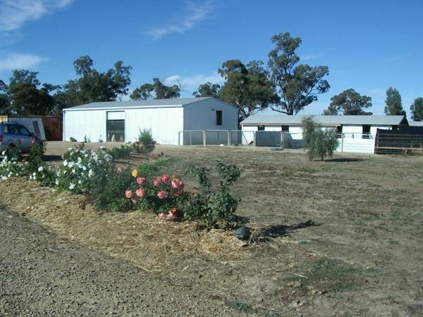 A DOGS HEAVEN, 50 ACRES WITH CREEK FRONTAGE Picture 3