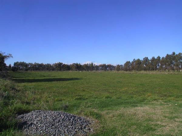 EXCELLENT GRAZING PROPERTY Picture 3