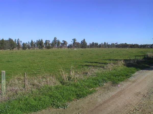 EXCELLENT GRAZING PROPERTY Picture 1