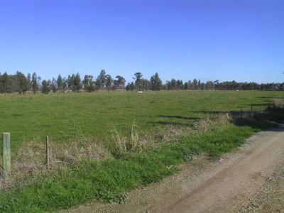 EXCELLENT GRAZING PROPERTY Picture EXCELLENT GRAZING PROPERTY Picture