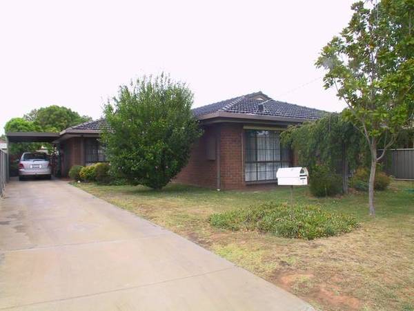 LOOK WHAT'S ON OFFER Picture 1