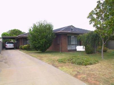 LOOK WHAT'S ON OFFER Picture LOOK WHAT'S ON OFFER Picture