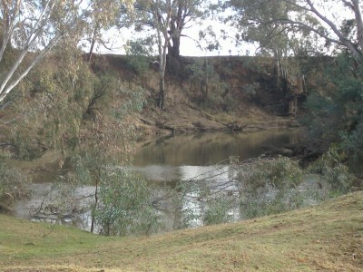 LOST IN PARADISE Picture