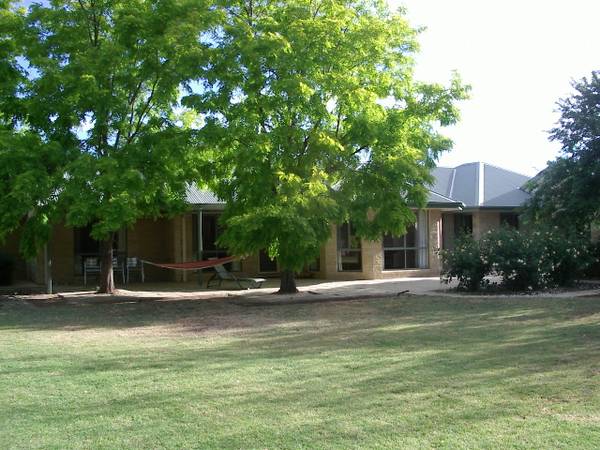 ONE OF A KIND - 2 TITLES Picture 2