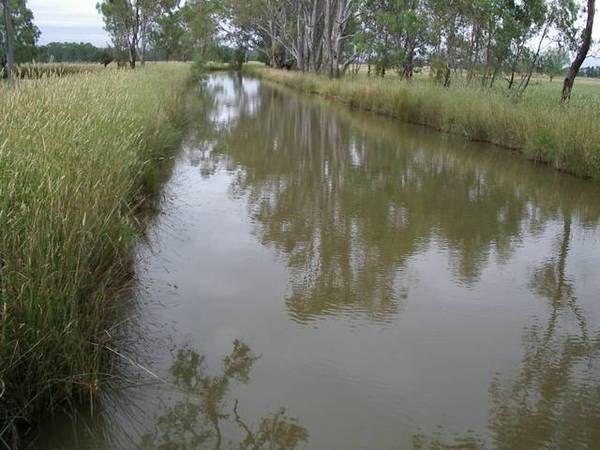PRIME RIVER ROAD LAND (31.69 ha) Picture 2