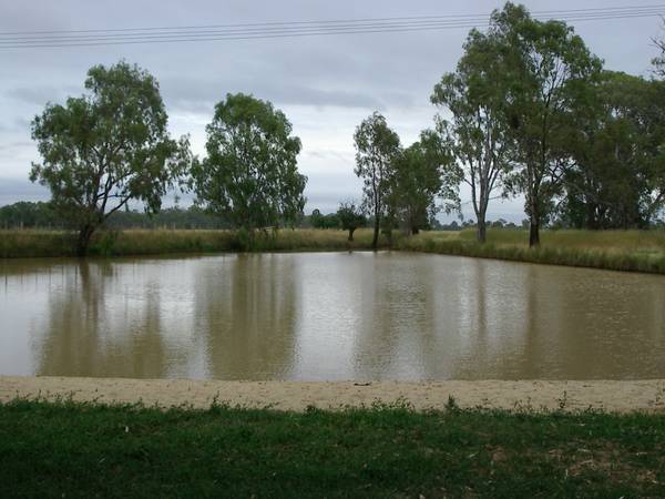 PRIME RIVER ROAD LAND (31.69 ha) Picture 1