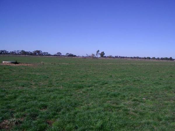 PRIME RURAL LAND Picture 3